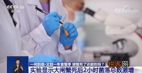 螃蟹死了到底能不能吃 冰鲜螃蟹能不能吃