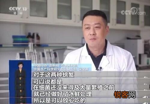 螃蟹死了到底能不能吃 冰鲜螃蟹能不能吃