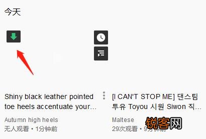 油管 youtube原视频下载方法 简单易学