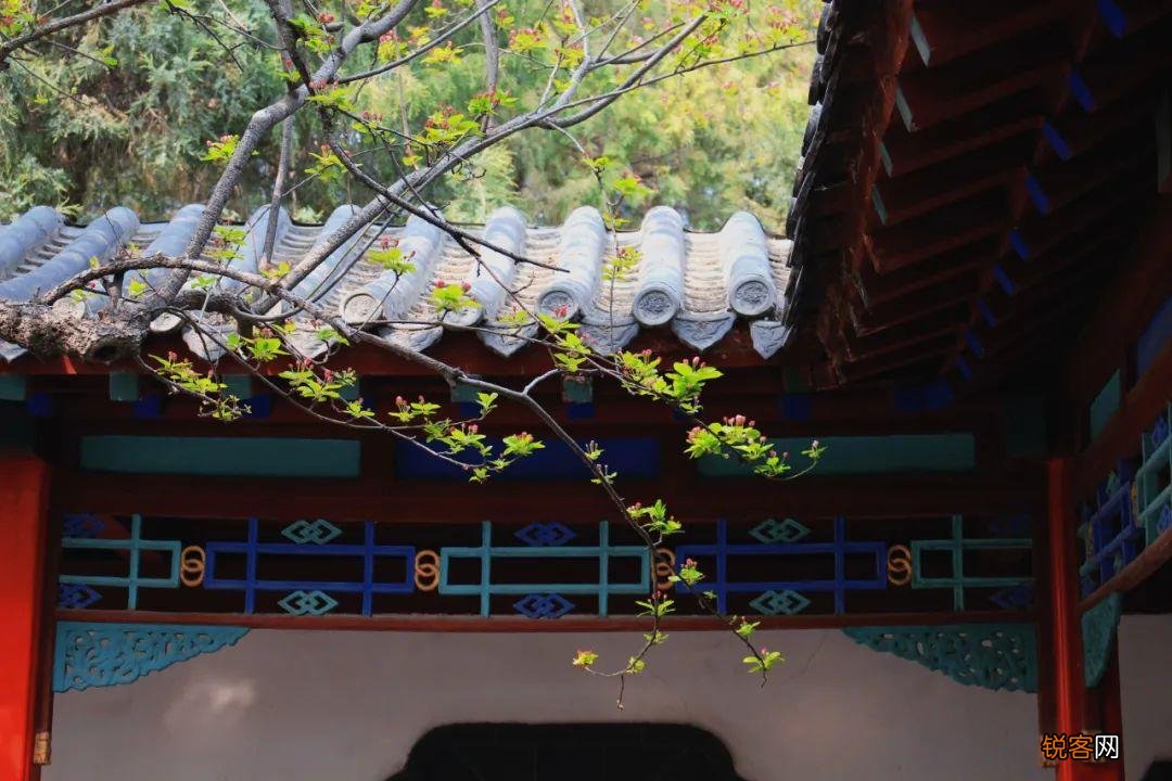 夏天最美的风景 最美的九个瞬间