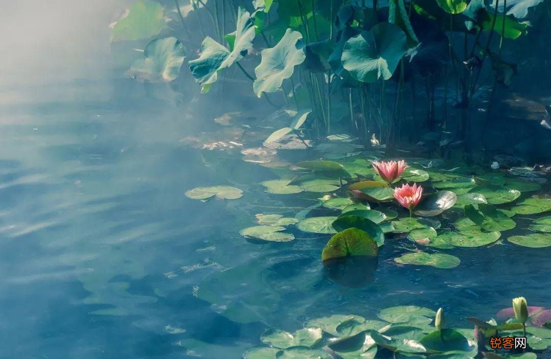 夏天最美的风景 最美的九个瞬间