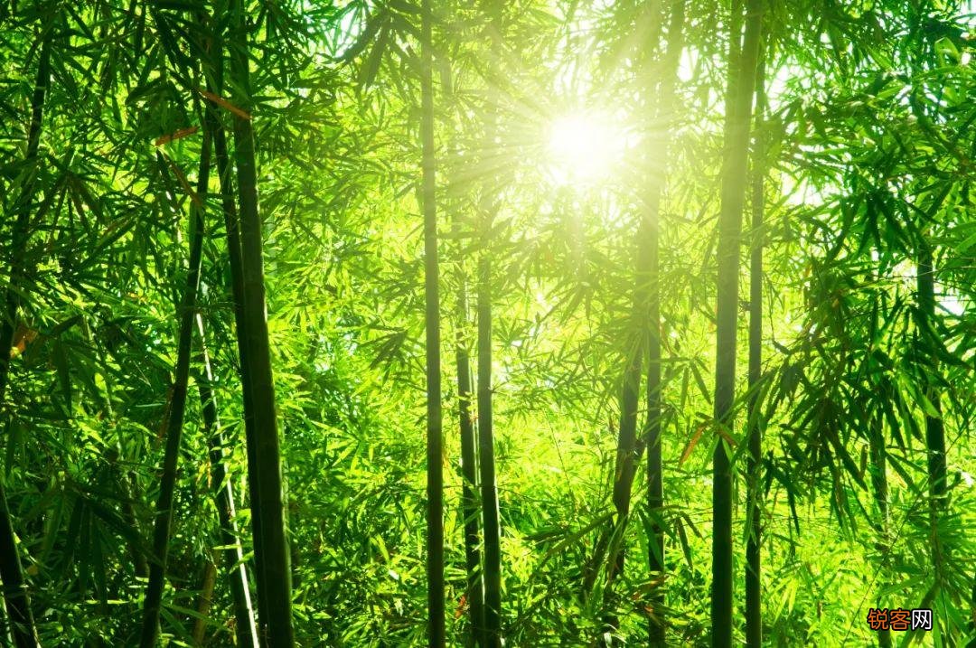 夏天最美的风景 最美的九个瞬间