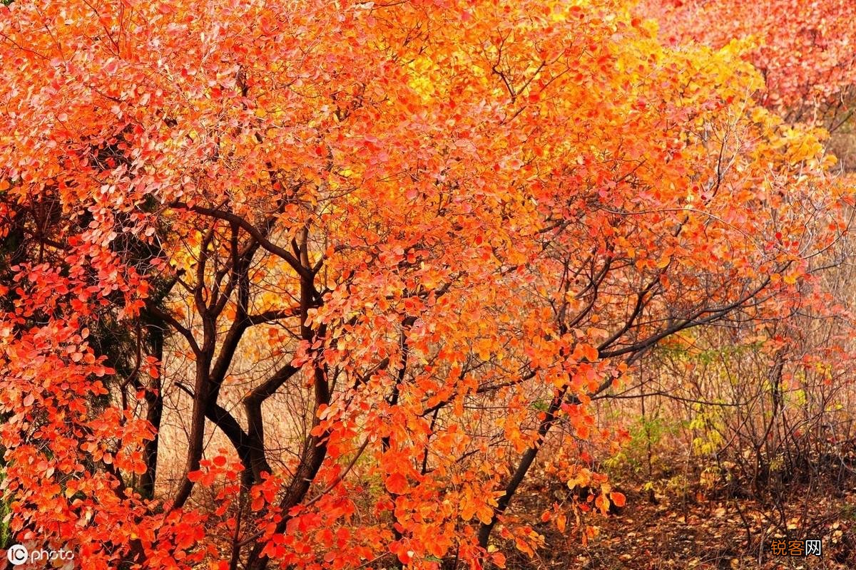 初秋养生注意什么 初秋时节如何养生