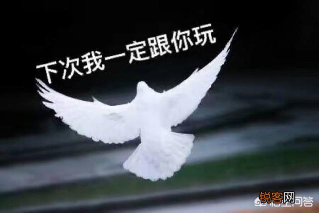 为什么被放鸽子以后会不爽？