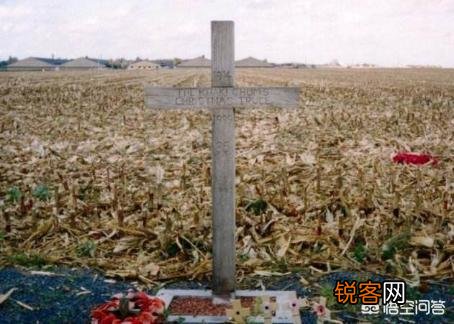 第一次世界大战期间诡异的圣诞节停战是怎么回事？其中有什么原因？