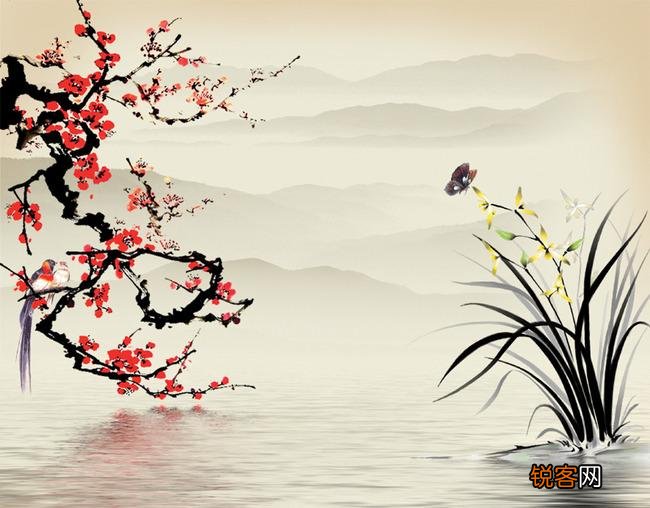 兰花花语象征与寓意 各种兰花花语是什么