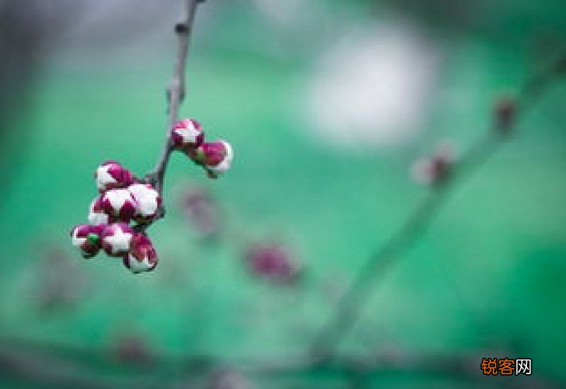 春寒料峭怎们造句,春寒料峭成语造句