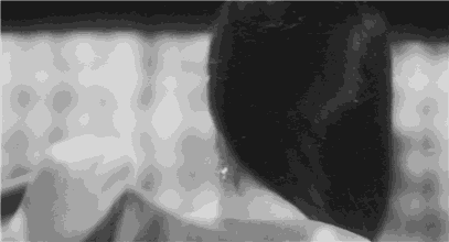 有网友说：朱茵眨眼,张敏回眸,青霞饮酒,祖贤穿衣,堪称世间最美,在你看来哪个最为惊艳？