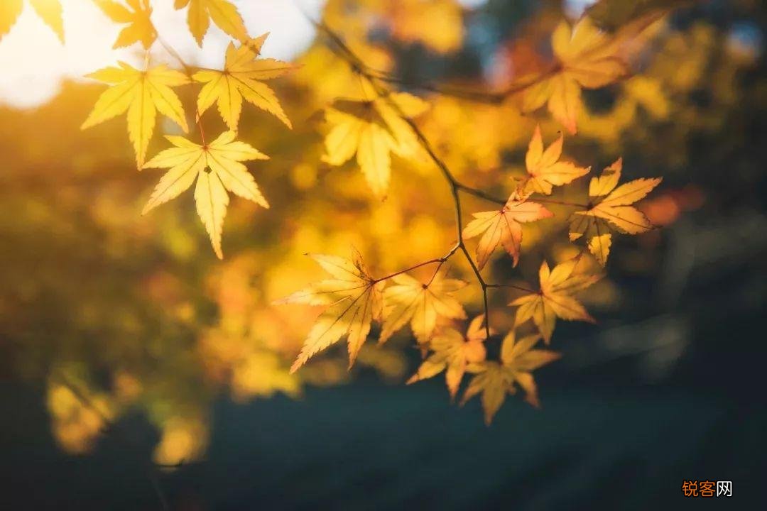 立秋古诗10首 迎接凉爽秋天