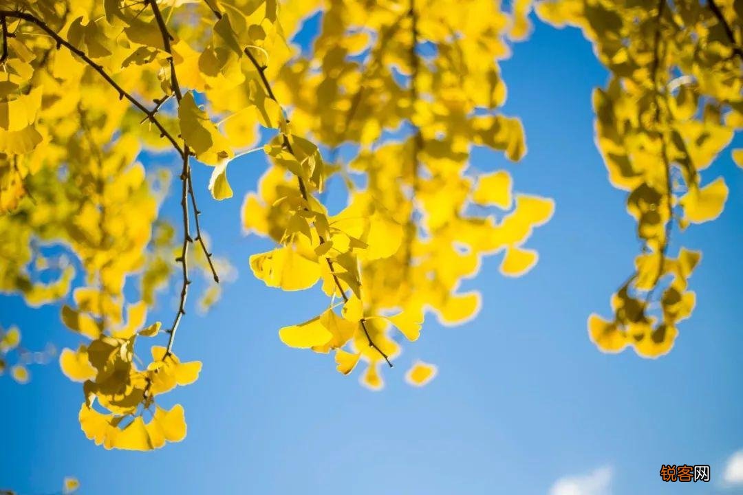 立秋古诗10首 迎接凉爽秋天