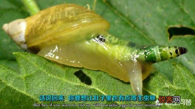 有哪些让人细思极恐的图片？