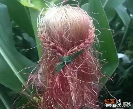 曹公笔下的林黛玉“罥烟眉”和“含情目”是什么样子呢？你遇见过如此容貌的女子吗？