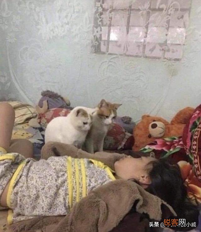 大家这一生看过最让你毛骨悚然的图片是什么？
