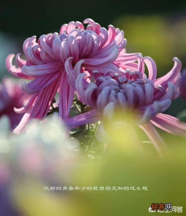这张图片哪里诡异了？