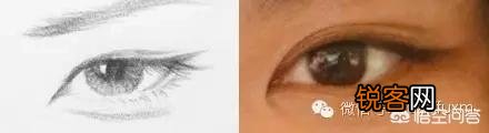 瑞凤眼和桃花眼有什么区别？