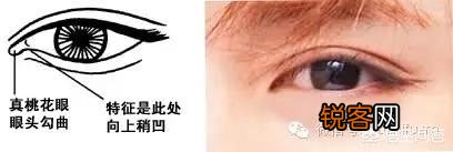 瑞凤眼和桃花眼有什么区别？