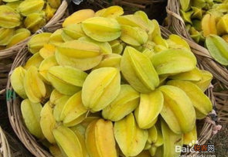 杨桃可以煮水喝吗？杨桃煮水的功效与作用