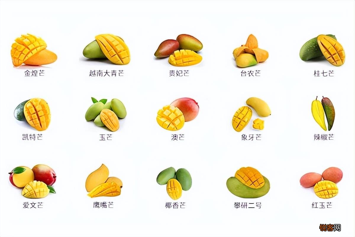 常见芒果的区别及口感 常见15种芒果的口感