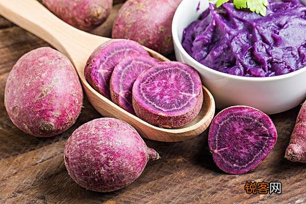 紫薯和红薯哪个更有营养 紫薯和红薯的区别