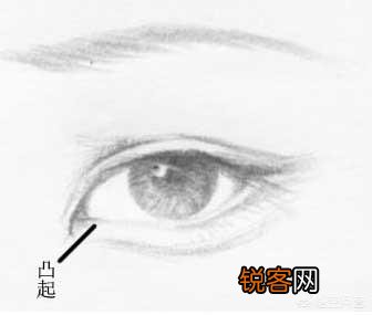 丹凤眼和桃花眼分别是怎样的？