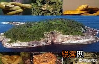 世界十大最恐怖的地方是哪？