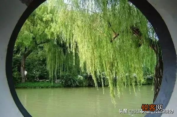 预防老人摔倒,有什么好办法？