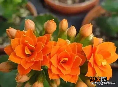 预防老人摔倒,有什么好办法？