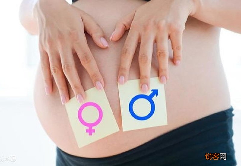 生男生女是在什么时间决定的