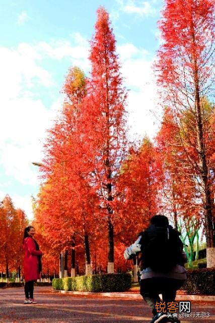 旅游时给人拍照,适合用大光圈吗？为什么？