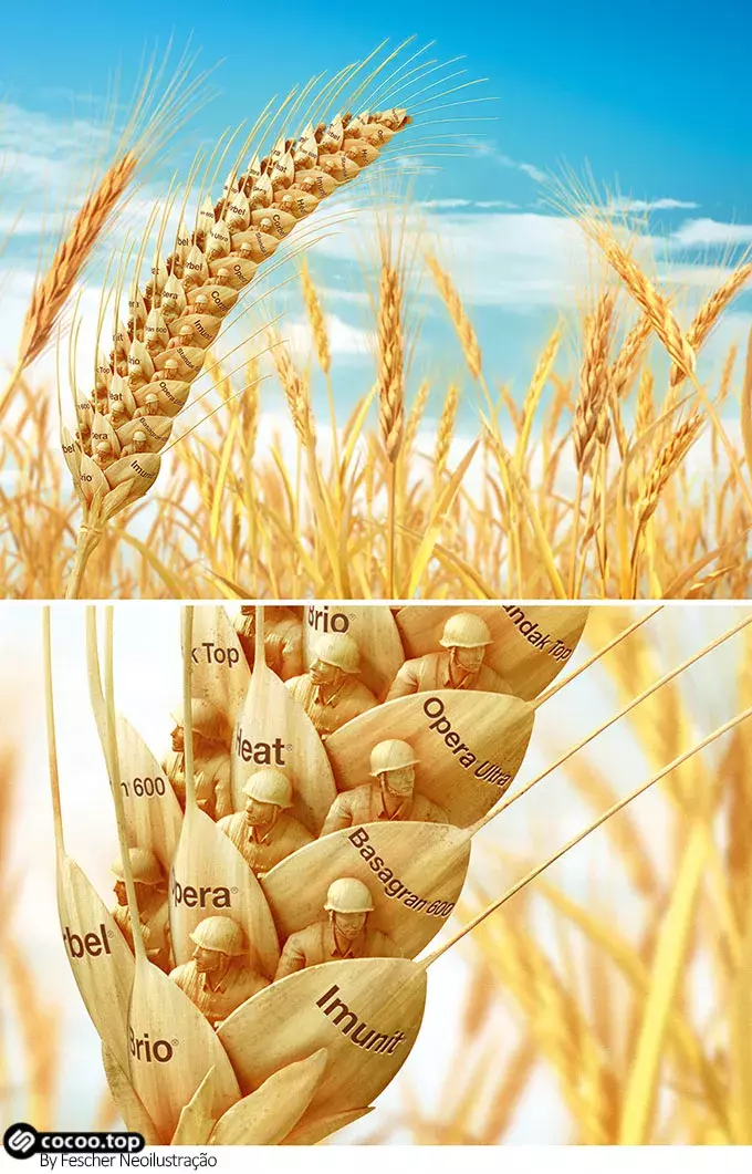 粉色的含义和象征是什么 不同色彩的心理联想