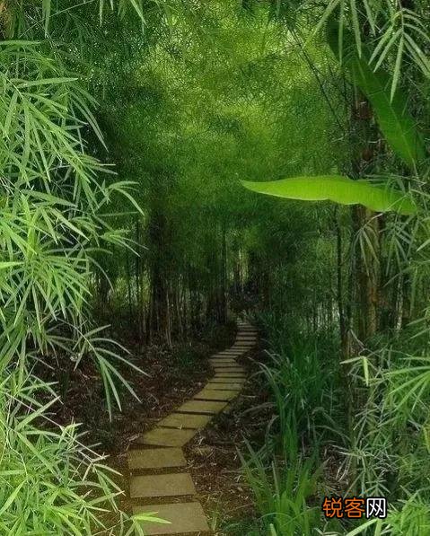 10首隐士古诗词 纵情山水，归隐山林