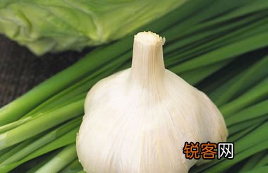 肺最爱八种白色食物