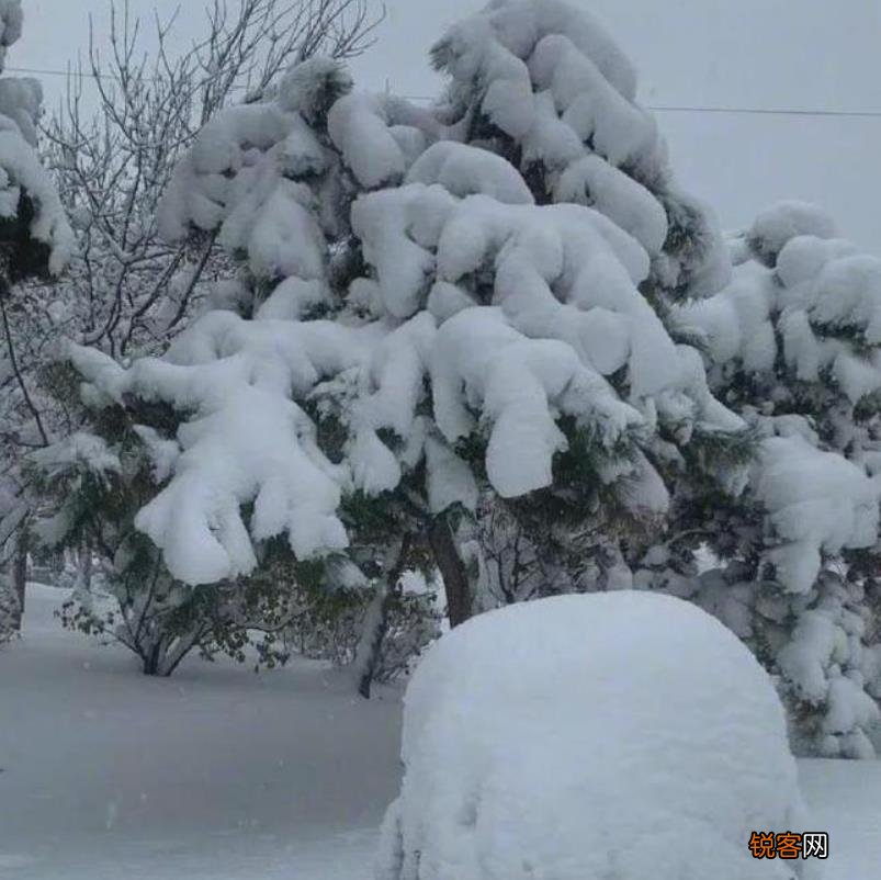 袭击东北的暴风雪有多极端 东北特大暴风雪原因