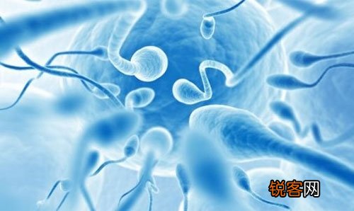 死精症的几个病因剖析 预防死精要注重婚前体检