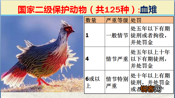 国家二级野生保护动物 最新125类保护名录
