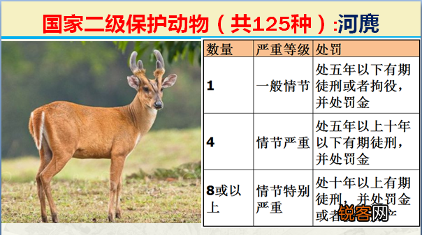 国家二级野生保护动物 最新125类保护名录