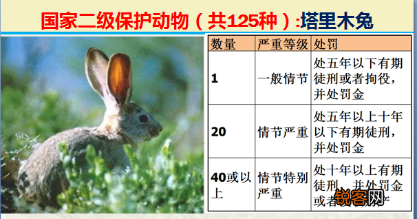 国家二级野生保护动物 最新125类保护名录
