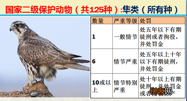 国家二级野生保护动物 最新125类保护名录