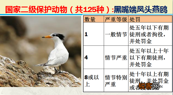 国家二级野生保护动物 最新125类保护名录