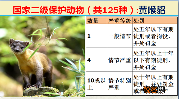 国家二级野生保护动物 最新125类保护名录