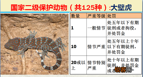 国家二级野生保护动物 最新125类保护名录