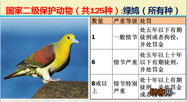 国家二级野生保护动物 最新125类保护名录