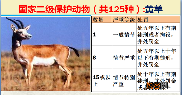 国家二级野生保护动物 最新125类保护名录