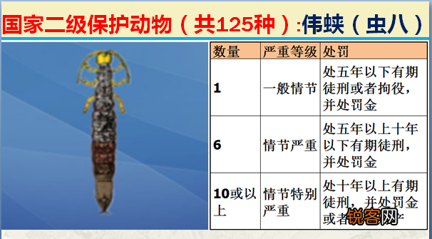 国家二级野生保护动物 最新125类保护名录