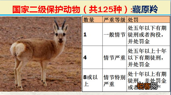 国家二级野生保护动物 最新125类保护名录