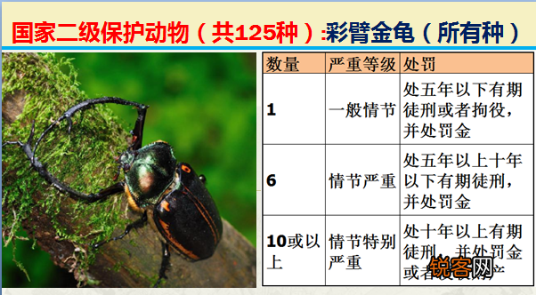 国家二级野生保护动物 最新125类保护名录
