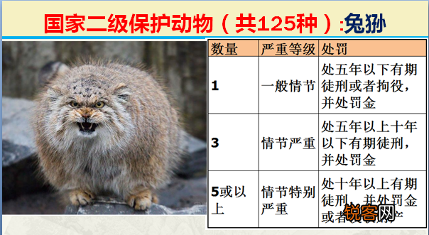 国家二级野生保护动物 最新125类保护名录