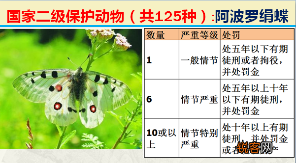 国家二级野生保护动物 最新125类保护名录