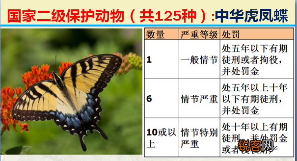 国家二级野生保护动物 最新125类保护名录