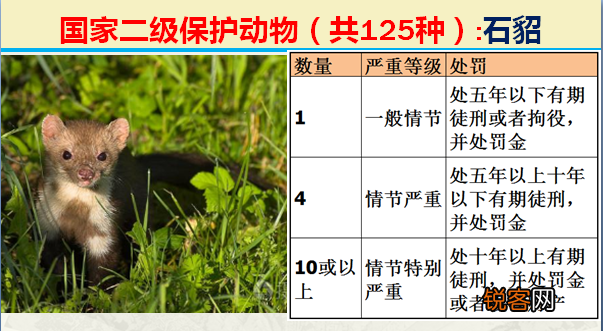 国家二级野生保护动物 最新125类保护名录